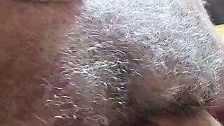 Bear daddy show fat cock on cam